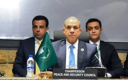 وزير الخارجية يترأس جلسة مشاورات مجلس السلم والأمن الأفريقي حول السودان