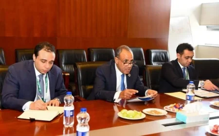 وزير الخارجية يبحث مع مفوضة الاتحاد الأفريقي تعزيز التعاون في مجال الأمن الصحي