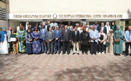 بمشاركة 14 دولة أفريقية.. «الزراعة» تختتم برنامج تمكين المرأة الريفية عبر المشروعات الصغيرة وتسلم شهادات لـ15 مبعوثًا