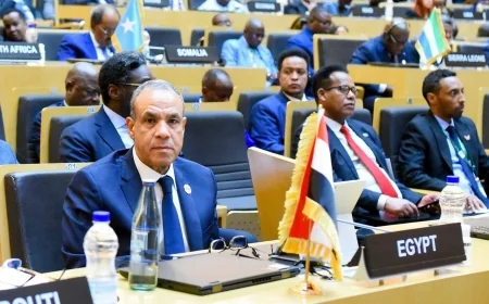 وزير الخارجية يترأس وفد مصر في قمة الاتحاد الأفريقي بتكليف رئاسي