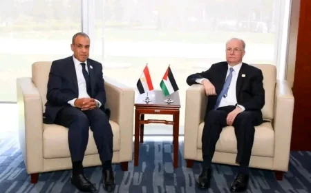 وزير الخارجية المصري يلتقي رئيس وزراء فلسطين في أديس أبابا على هامش القمة الأفريقية ويؤكد دعم تنفيذ المرحلة الثانية من خطة ترامب