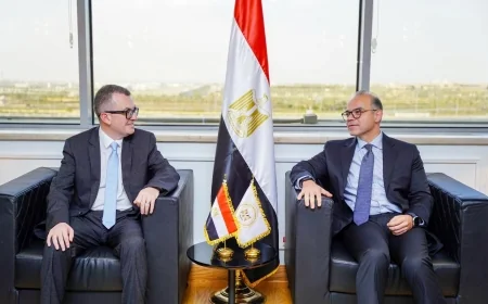 وزيرا التخطيط والاستثمار يبحثان تحديث قياس الادخار القومي ورفع جودة البيانات الاقتصادية