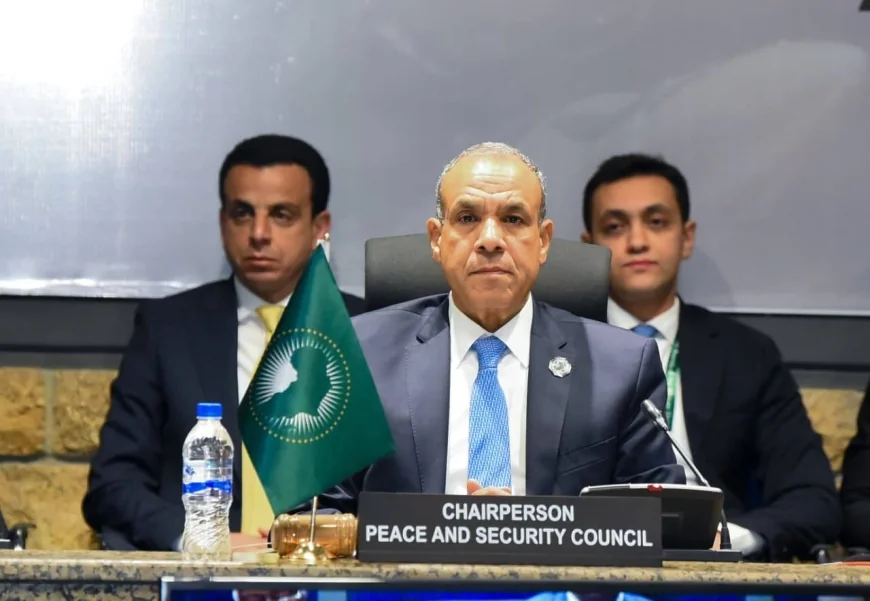 وزير الخارجية يترأس جلسة مشاورات مجلس السلم والأمن الأفريقي حول السودان