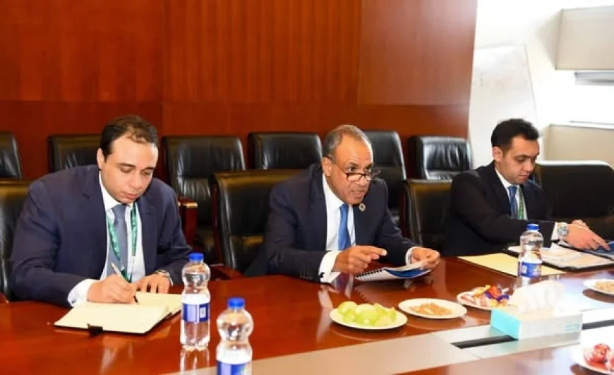 وزير الخارجية يبحث مع مفوضة الاتحاد الأفريقي تعزيز التعاون في مجال الأمن الصحي