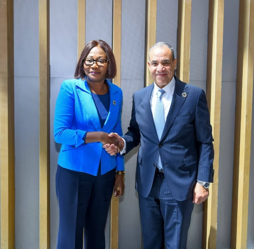 وزير الخارجية المصري يلتقي وزيرة خارجية جمهورية أفريقيا الوسطى لتعزيز التعاون الثنائي