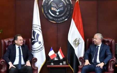 سفارة فرنسا تدعو الهيئة العامة للاستثمار للمشاركة في منتدى الأعمال الفرنسي بباريس وليون