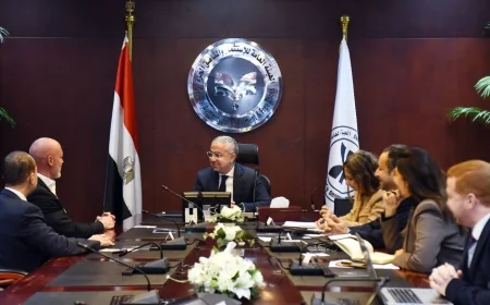 الهيئة العامة للاستثمار والمناطق الحرة وبنك HSBC يبحثان الترويج الخارجي للاستثمار في مصر