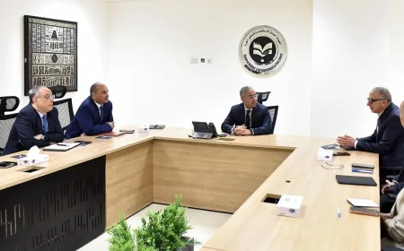 الهيئة العامة للاستثمار والمناطق الحرة ومجموعة السويدي تبحثان إنشاء أول منطقة استثمارية خاصة في مصر