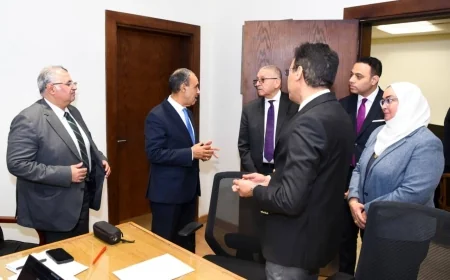 وزير الخارجية يتفقد خلية العمل لمتابعة أوضاع الجاليات المصرية بالمنطقة