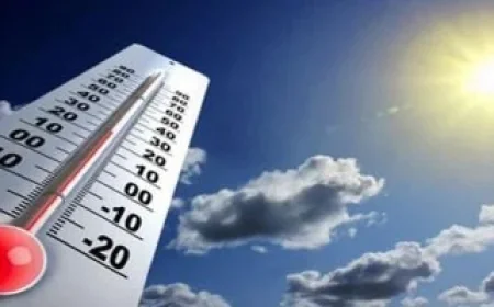 الطقس اليوم: ارتفاع درجات الحرارة مع نشاط رياح وشبورة.. والصغرى بالقاهرة 11°