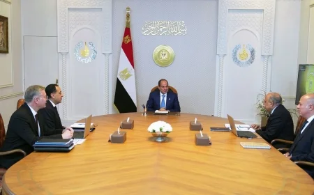 الرئيس عبد الفتاح السيسي يشرف على خطط تأمين الكهرباء والطاقة المتجددة وتطوير صناعة البترول في مصر