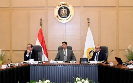 اجتماع حكومي لدعم توطين صناعة السيارات في مصر.. وزراء الصناعة والاستثمار والمالية يبحثون تطوير البرنامج الوطني وتنمية الصناعات المغذية