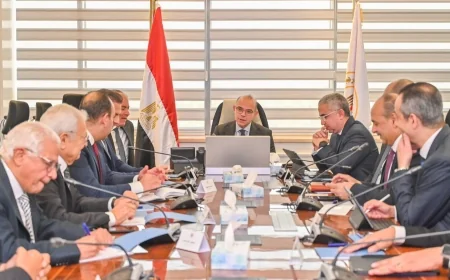 وزير الاستثمار يتابع تنفيذ “منصة الكيانات الاقتصادية” لتوحيد دورة حياة الاستثمار الرقمي في مصر