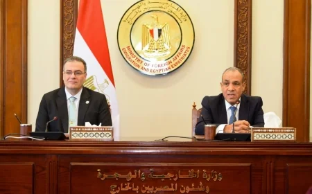 وزير الخارجية يتابع سير العمل بقطاع التعاون الدولي ويؤكد أهمية جذب الاستثمارات وتعزيز الشراكات الاقتصادية