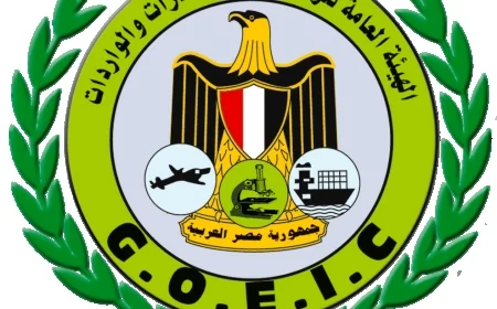 استمرار العمل بكامل الطاقات التشغيلية بالموانئ المصرية لدعم منظومة الإفراج الجمركي