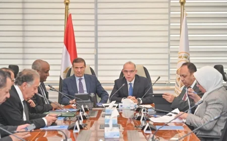 محمد فريد صالح وعلاء فاروق يبحثان تعزيز التواجد الاستثماري والتجاري المصري في أفريقيا وترسيخ الأمن الغذائي