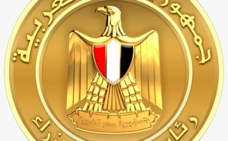 الحكومة تتعامل مع 190 شكوى لمراقبة أسعار المنتجات البترولية وتعريفة الركوب في مصر