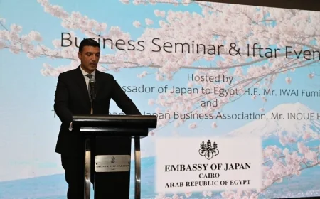 مصر واليابان تعززان الشراكة الصناعية والاستثمارية.. وزير الصناعة يستعرض فرص التعاون الاستراتيجي