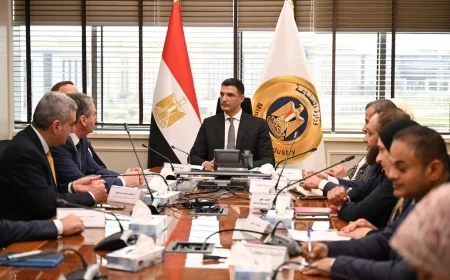 وزير الصناعة يبحث إنشاء أول مصنع لإنتاج سيانيد الصوديوم في مصر والشرق الأوسط باستثمارات 200 مليون دولار
