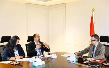 وزير التخطيط يبحث مع منظمة التعاون الاقتصادي والتنمية تعزيز الحوكمة ودعم تنفيذ رؤية مصر 2030