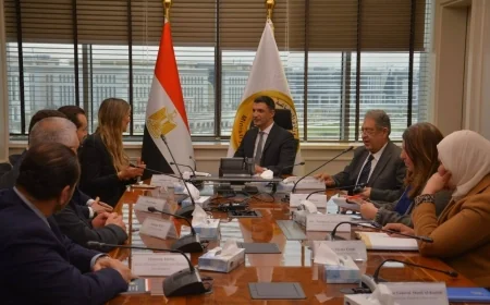 وزير الصناعة يبحث مع مرسيدس-بنز إيجيبت فرص توطين صناعة السيارات في مصر وتعزيز المكون المحلي