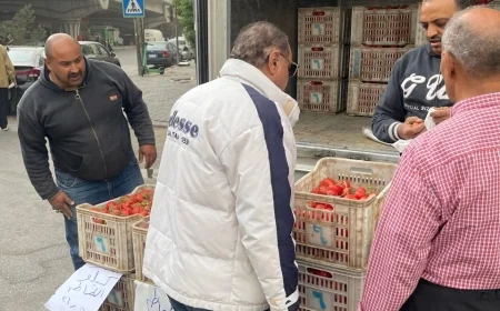 القابضة للصناعات الغذائية تطرح الطماطم بسعر 21.5 جنيه للكيلو