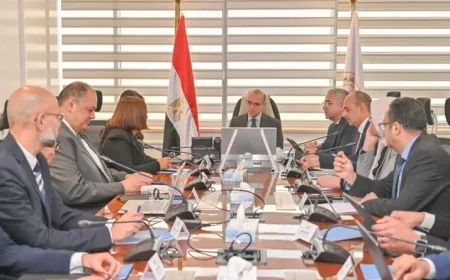 محمد فريد يبحث مع جنرال موتورز خطط التوسع وتوطين صناعة السيارات في مصر