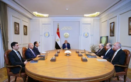 السيسي يوجه بدعم الاستثمار وحماية الصناعة المحلية وتعزيز موقع مصر الصناعي