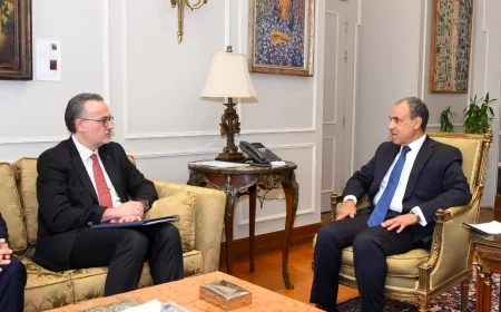 وزير الخارجية يبحث مع بنك الاستثمار الأوروبي دعم الاقتصاد المصري
