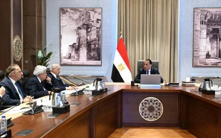 مصطفى مدبولي يناقش سيناريوهات التصعيد مع اللجنة السياسية