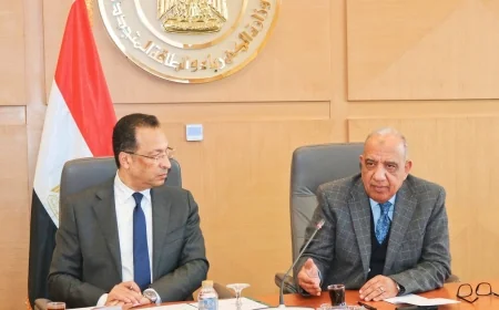 وزراء الكهرباء والاتصالات يبحثون تعزيز الاستثمارات في صناعة مراكز البيانات بمصر