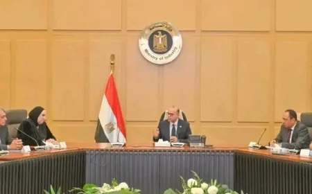 تعزيز التوسع الخارجي لشركات المقاولات المصرية نحو الأسواق العالمية