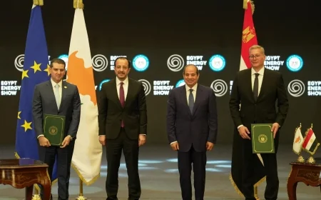 توقيع اتفاقية تعاون طاقي بين مصر وقبرص بحضور الرئيس السيسي