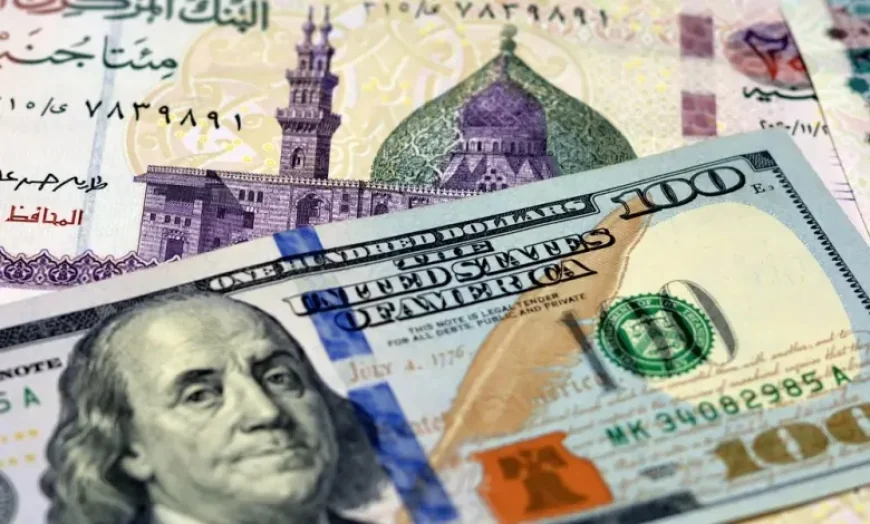الجنيه المصري يواصل الانخفاض أمام الدولار متأثراً بتصاعد التوترات في إيران