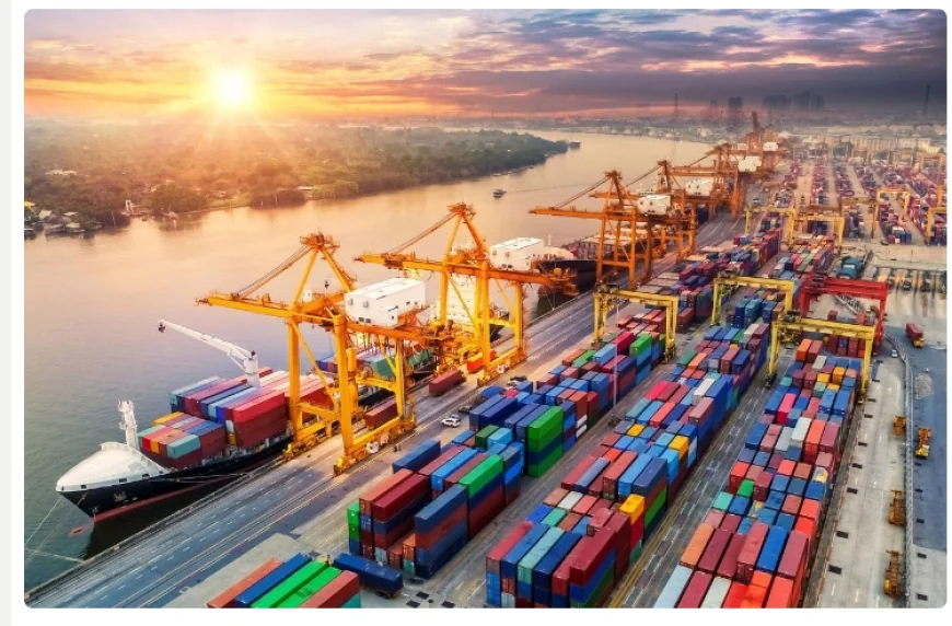 مصر تعفي السلع العابرة من ضريبة القيمة المضافة لتعزيز تجارة الترانزيت