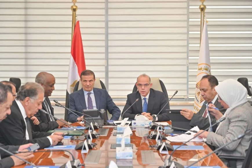 محمد فريد صالح وعلاء فاروق يبحثان تعزيز التواجد الاستثماري والتجاري المصري في أفريقيا وترسيخ الأمن الغذائي