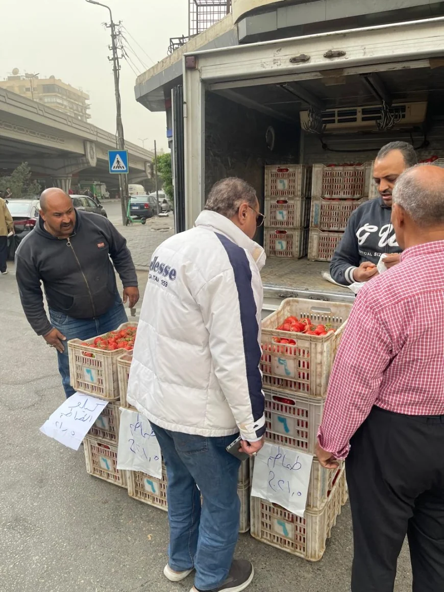 القابضة للصناعات الغذائية تطرح الطماطم بسعر 21.5 جنيه للكيلو
