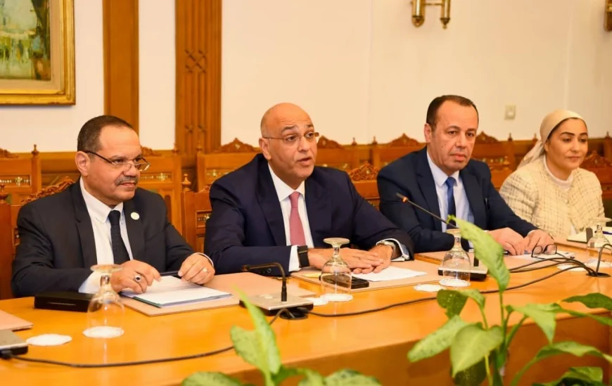 وزارة الخارجية تدعم جهاز تنمية المشروعات لتعزيز قطاع المشروعات الصغيرة وريادة الأعمال