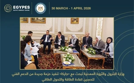 كفاءة الطاقة والتحول الطاقي في صدارة مباحثات البترول مع «جايكا» خلال إيجبس 2026