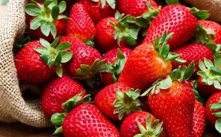 المركز الإعلامي لمجلس الوزراء ينفي شائعات رفض شحنات الفراولة المصرية خارجياً