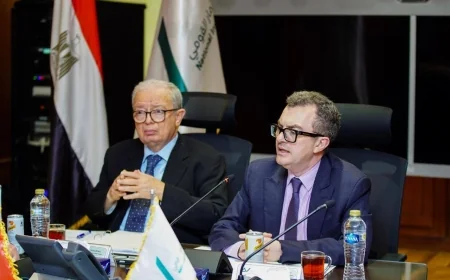 إعادة هيكلة بنك الاستثمار القومي تعزز كفاءة الاستثمارات العامة وتدعم التنمية الاقتصادية