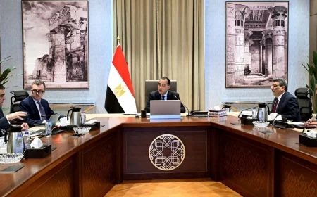 رئيس الوزراء يتابع موقف الهيئة المصرية للشراء الموحد وسداد مستحقات الموردين لضمان استقرار الإمداد الطبي