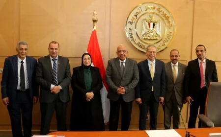 وزير الكهرباء: استثمارات بـ13.1 مليار جنيه لرفع كفاءة التيار الكهربائي والتوسع في الطاقة الشمسية بمصر
