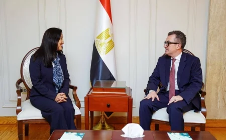 وزير التخطيط يبحث مع برنامج الأمم المتحدة الإنمائي التعاون في الطاقة والتحول الرقمي وتطوير البيانات