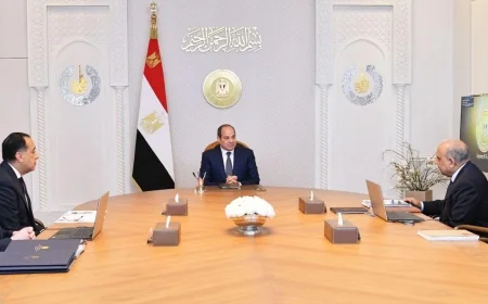 الرئيس السيسي يوجه بتعزيز الطاقة المتجددة وضمان استقرار الشبكة القومية للكهرباء