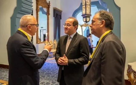 المالية تعزز كفاءة الطاقة وتنافسية الاقتصاد المصري