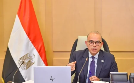 وزير الاستثمار يترأس اجتماع مجموعة العمل المصرية الكورية لتعزيز التعاون الاقتصادي المشترك