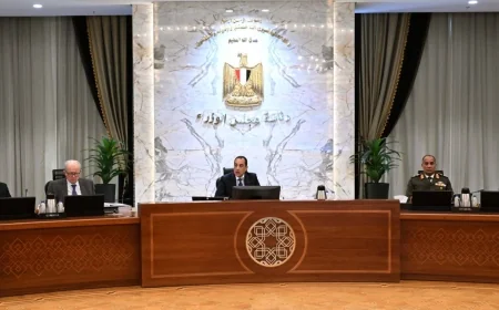 رئيس الوزراء مدبولي يترأس الاجتماع الأسبوعي للحكومة ويؤكد التوسع في الطاقة الشمسية وترشيد الإنفاق