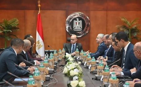 وزير الاستثمار يبحث مع "مايكروسوفت" تعزيز الاستثمارات الرقمية ودعم استراتيجية التحول الرقمي