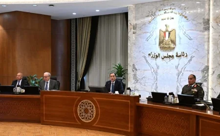 قرارات مجلس الوزراء: تعديلات الجمارك وتحفيز الاستثمار والمناطق الحرة لدعم الاقتصاد المصري
